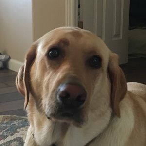 Meet your Posher, Trent